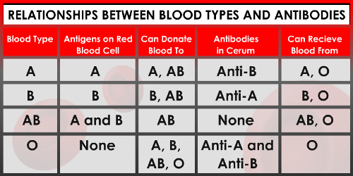 Online Blood Type Calculator