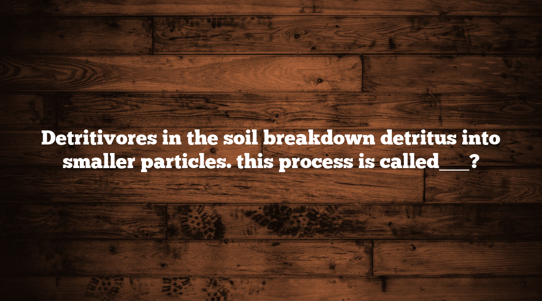 Detritivores in the soil breakdown detritus into smaller particles. this process is called___?